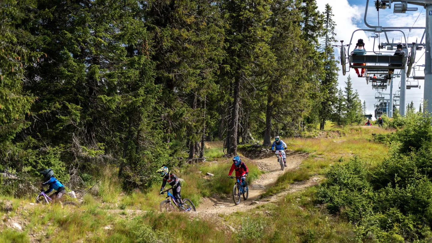 Hafjell Bike Park